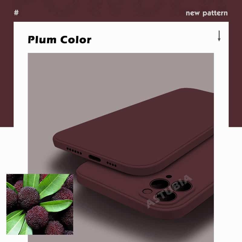 Plum Color