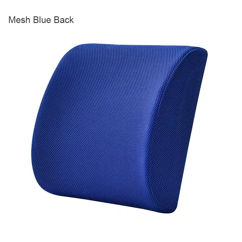 Mesh Blue Back